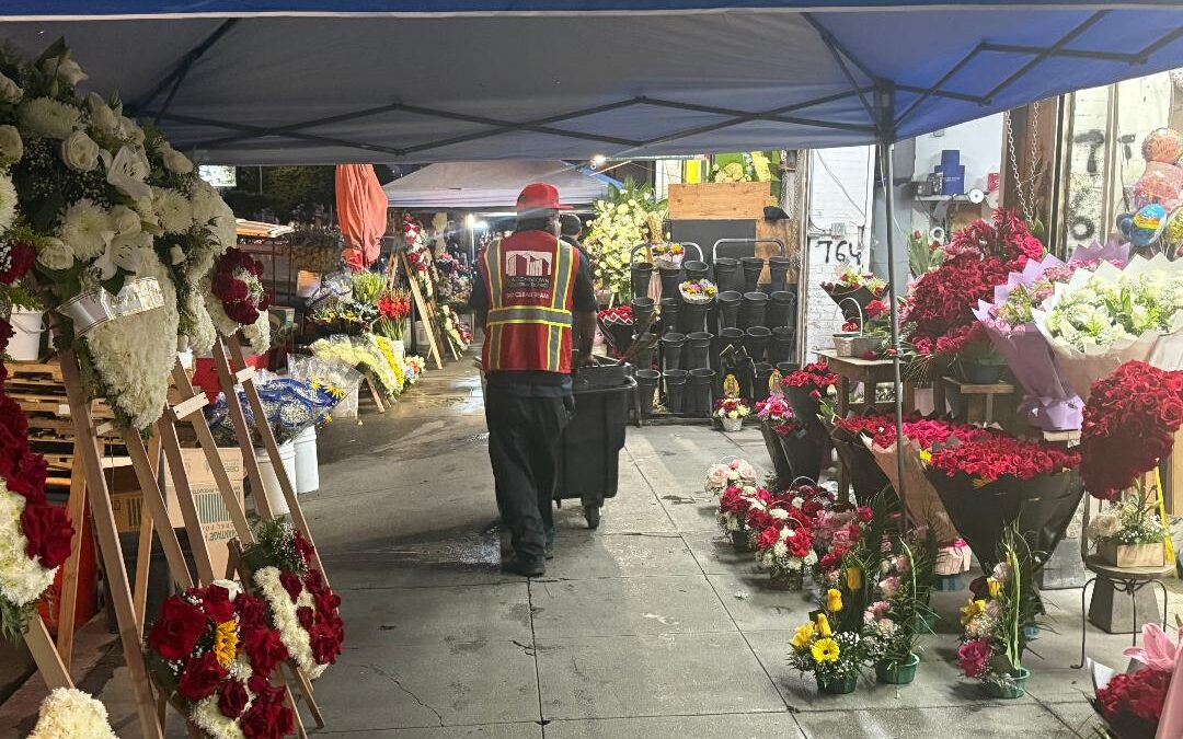 Flower Holidays in Bloom